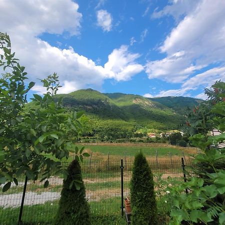 Lola Guest House Vusanje Bagian luar foto