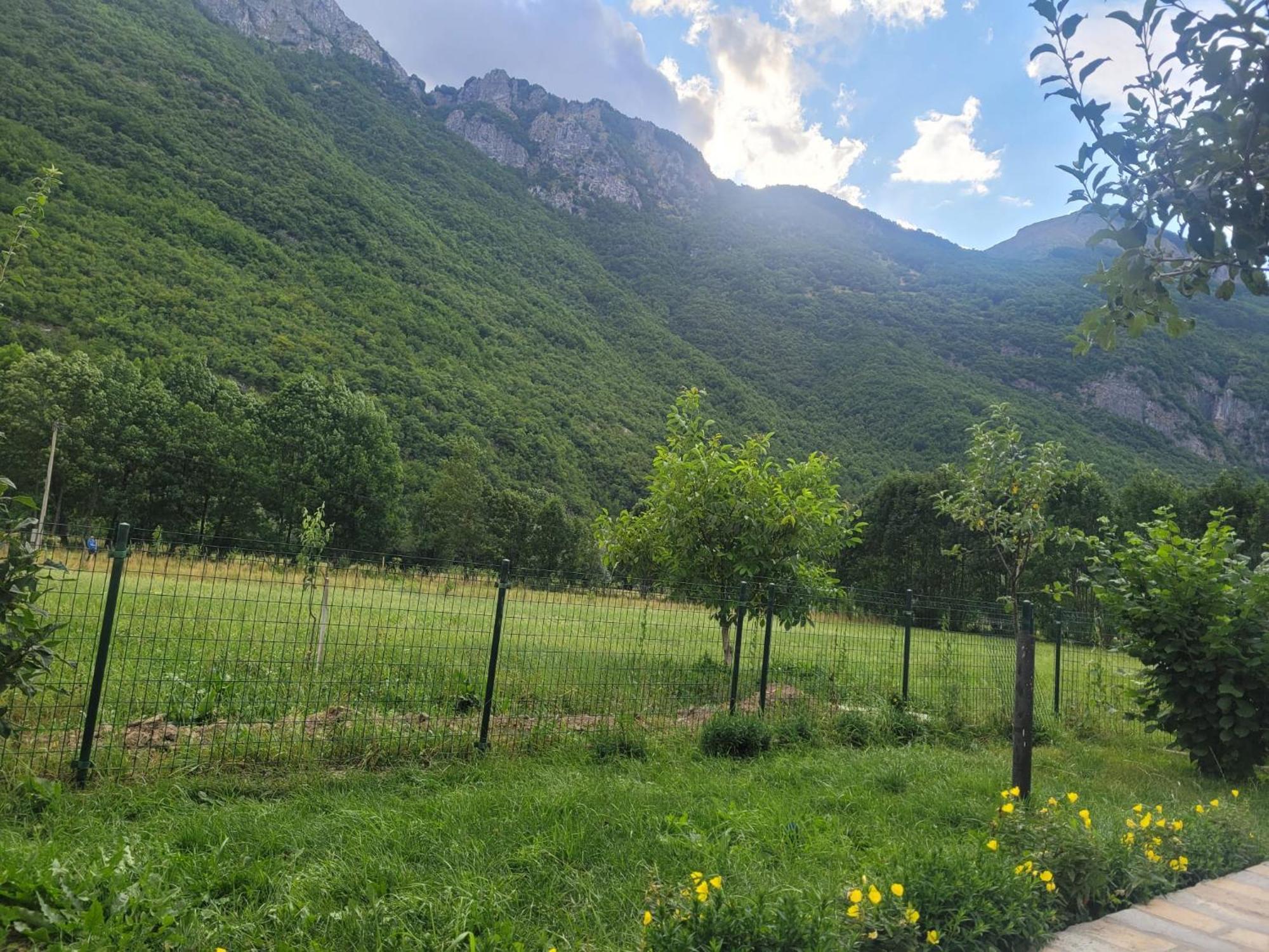Lola Guest House Vusanje Bagian luar foto